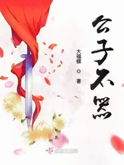 《公子不器》小说封面