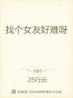 《找个女友好难呀》小说封面