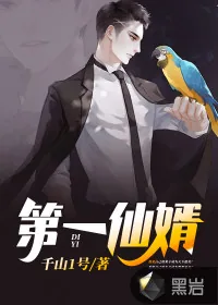 《第一仙婿》小说封面