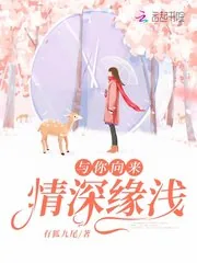 《与你向来情深缘浅》小说封面