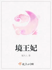 《境王妃》小说封面