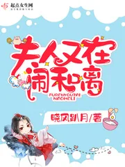 《夫人又在闹和离》小说封面