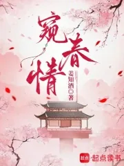 《窥春情》小说封面
