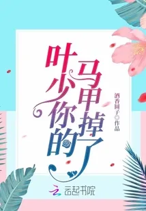 《叶少你的马甲掉了》小说封面