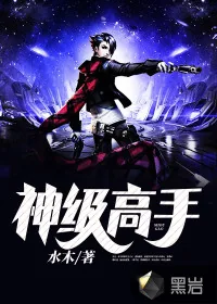 《神级高手》小说封面