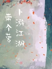 《带个萝卜游江湖》小说封面