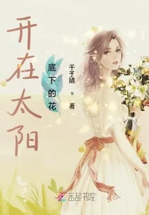 《开在太阳底下的花》小说封面