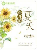 《奋斗的夏天》小说封面