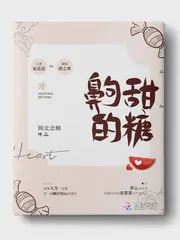 《齁甜的糖》小说封面