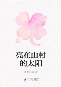 《亮在山村的太阳》小说封面