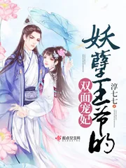 《妖孽王爷的双面宠妃》小说封面