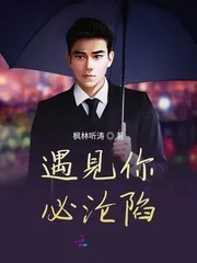 《遇见你必沦陷》小说封面