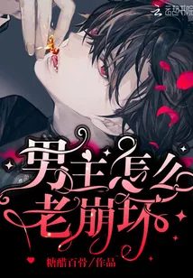 《男主怎么老崩坏》小说封面