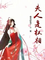 《夫人是权相》小说封面