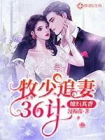 《牧少追妻36计：媳妇真香》小说封面