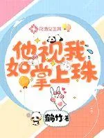 《他视我如掌上珠》小说封面