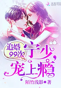 《追婚99次：宁少，宠上瘾》小说封面