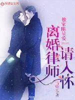 《独家限量爱：离婚律师请入怀》小说封面