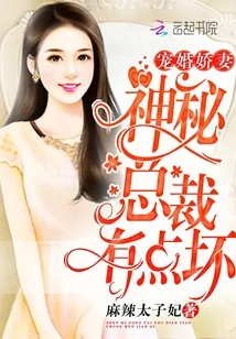 《宠婚娇妻:神秘总裁有点坏》小说封面