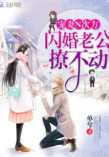 《宠妻N次方：闪婚老公，撩不动》小说封面