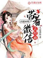 《高能厨娘：带着微信去经商》小说封面