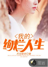 《我的绚烂人生》小说封面