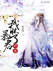 《我怀了暴君的崽》小说封面