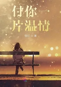《付你一片温情》小说封面