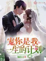《宠你，是我一生的计划》小说封面