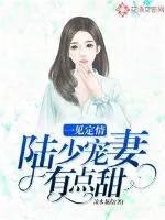《一见定情：陆少宠妻有点甜》小说封面
