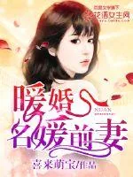 《暖婚，名媛前妻》小说封面