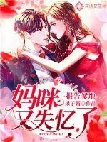 《报告爹地：妈咪又失忆了》小说封面