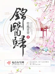 《锦医归》小说封面