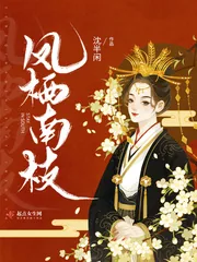 《凤栖南枝》小说封面