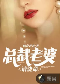 《总裁老婆请饶命》小说封面