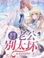 《宠妻至上：老公别太坏》小说封面