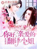 《你好，亲爱的翻译小姐》小说封面