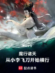 《魔祸诸天：从小李飞刀开始横行》小说封面