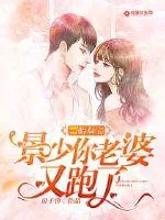 《一胎双宝：景少你老婆又跑了》小说封面