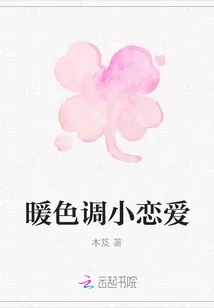 《暖色调小恋爱》小说封面