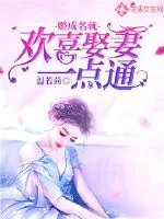 《婚成名就：欢喜娶妻一点通》小说封面