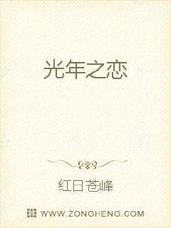 《光年之恋》小说封面