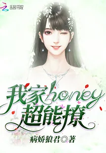 《我家honey超能撩》小说封面