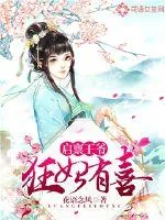 《启禀王爷，狂妃有喜！》小说封面