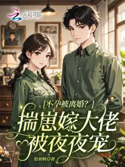 《不孕被离婚？揣崽嫁大佬被夜夜宠》小说封面