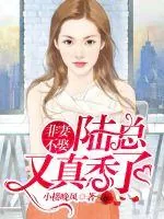 《非妻不娶：陆总又真香了》小说封面