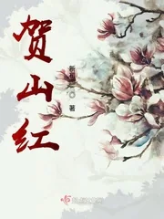 《贺山红》小说封面