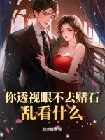 《你透视眼不去赌石，乱看什么？》小说封面