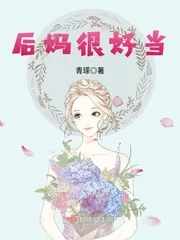 《后妈很好当》小说封面