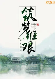 《筑梦维艰》小说封面